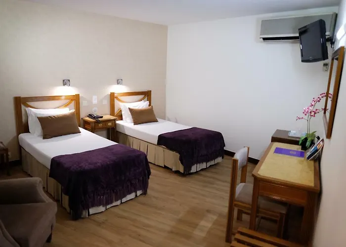 ドナ ソフィア 3* ブラガ