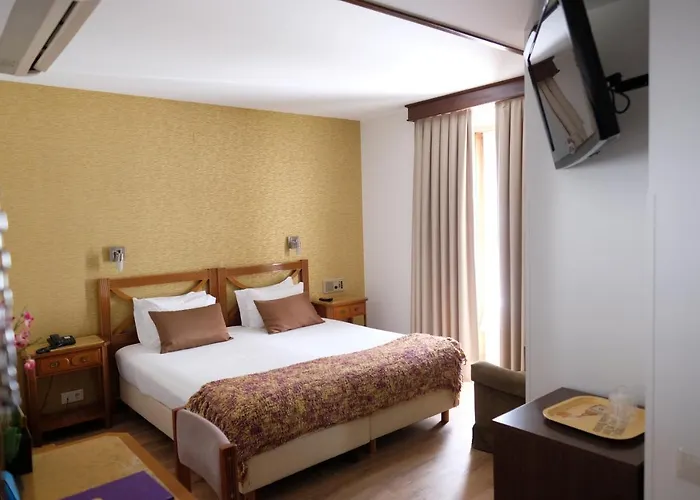 ドナ ソフィア 3* ブラガ